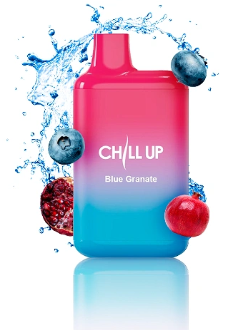 Ашка Chill Up 4000 Черника Гранат