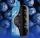 Ашка Elf Bar GH 33 000 PRO Синяя Малина