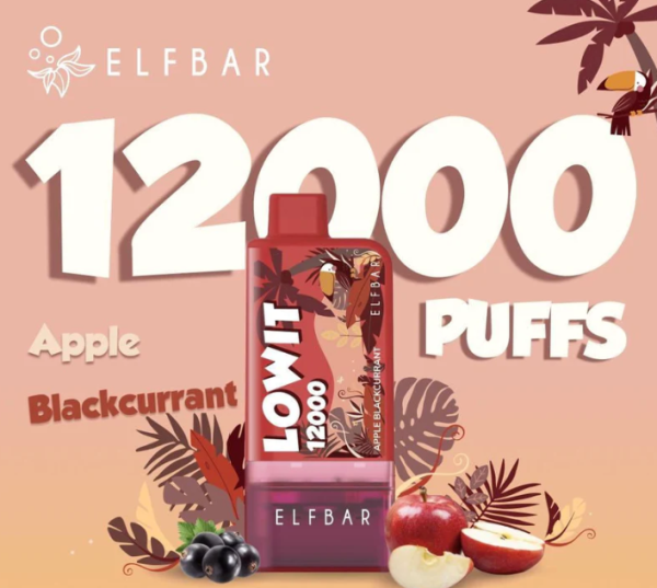 Ашка Elf Bar Lowit 12 000 Затяжек Яблоко Черника