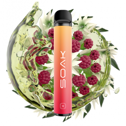 Ашка soak 1500 затяжек (малиновый чай с жасмином)