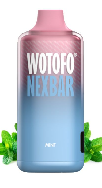 Ашка Wotofo 10000 Затяжек Холодная мята
