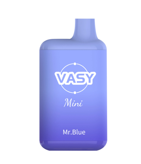 Ашка VASY 600 Затяжек Черника Лед
