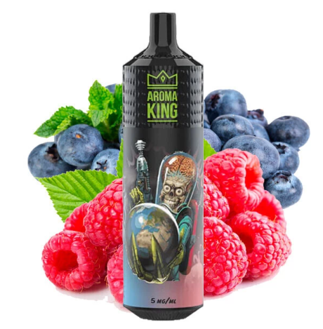 Ашка Aroma King Черника Малина 9000 Затяжек
