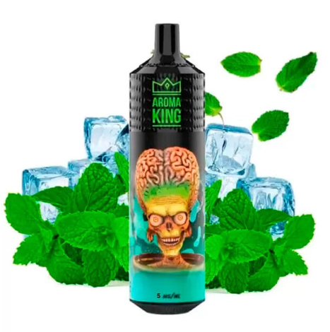 Ашка Aroma King Мята 9000 Затяжек