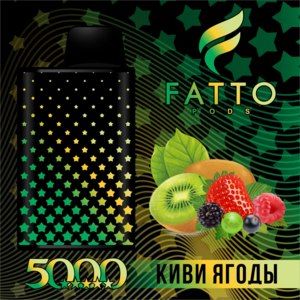 Ашка Fatto pods Киви - Ягоды 5000 затяжек