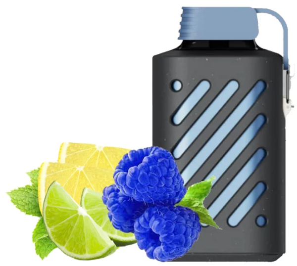 Ашка Vozol 10000 Синяя Малина Лимон
